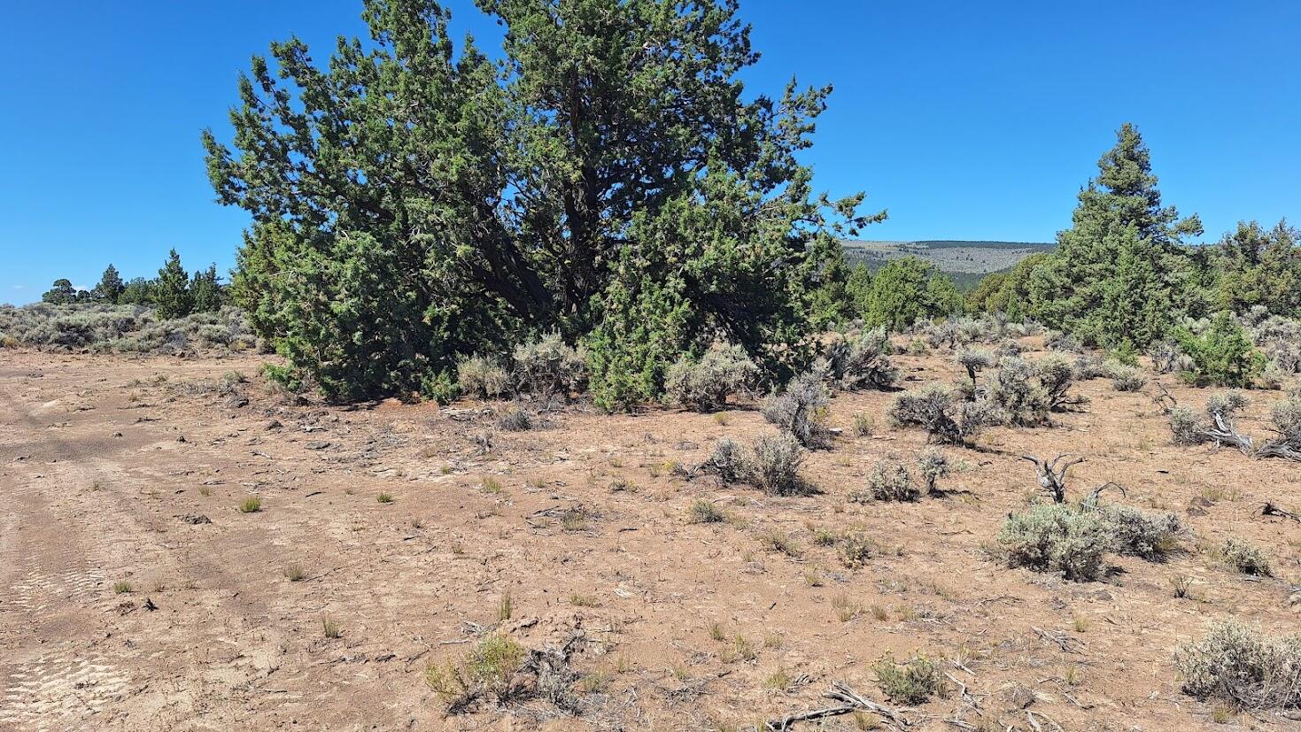 Golden View Ranch - Land