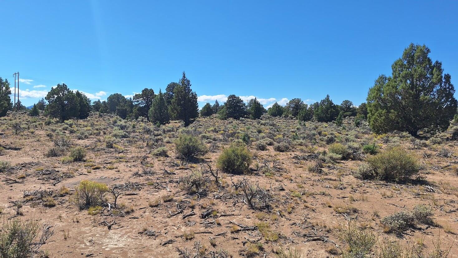 Golden View Ranch - Land