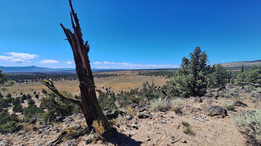 This 12-acre slice of high desert is all about wide-open skies and jaw-dropping views. From the property you get an unobstructed look at the Central Cascade peaks, the dramatic rim of Newberry Caldera, and Pine Mountain off in the distance. Honestly, some of the best vistas you'll find in the area.

It's a recreational-use, non-buildable parcel—so think stargazing, camping, off-grid weekends, or just a quiet place to spread out and enjoy the landscape. The high desert setting gives you that mix of juniper, sage, and big horizons, with nothing crowding your view.

If you've been looking for a piece of land that feels far away but still connects you to some of Oregon's most iconic scenery, this is it. A great spot to unplug, relax, and take in those unbeatable mountain panoramas.