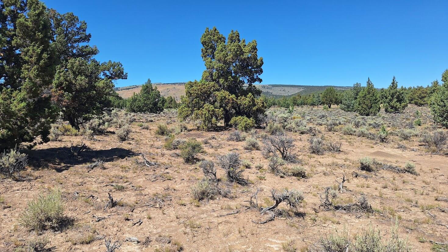 Golden View Ranch - Land