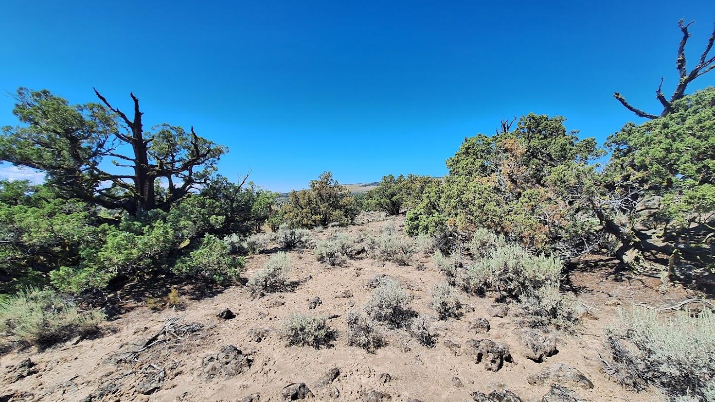 Golden View Ranch - Land