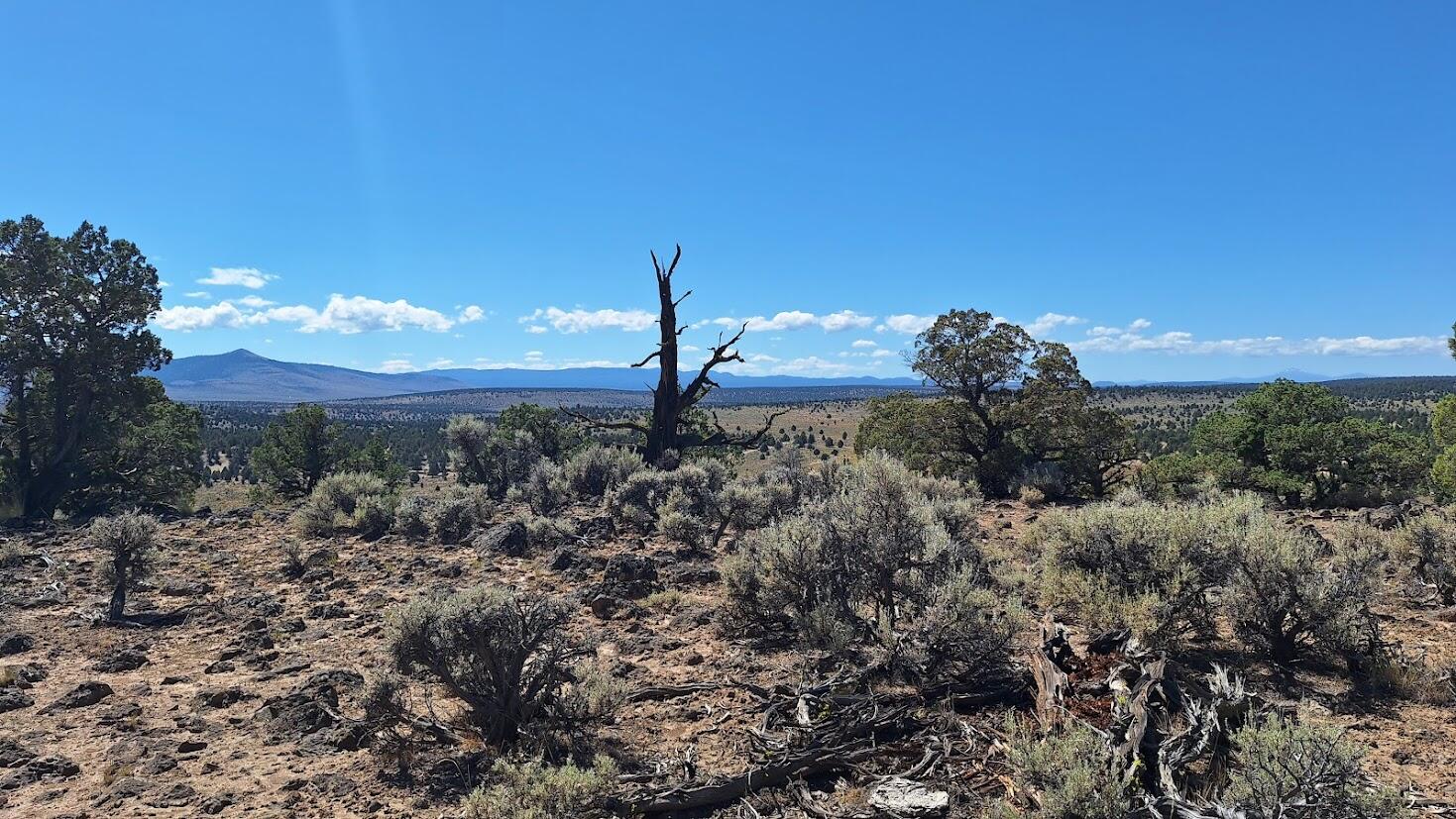 Golden View Ranch - Land