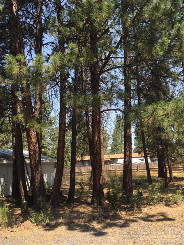 Romaine Village - Residential