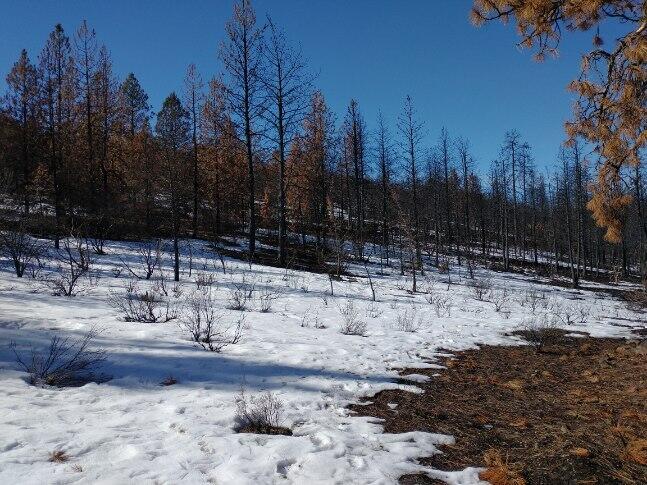 Klamath Falls Forest Estates Hwy 66 Unit Plat 4 - Land