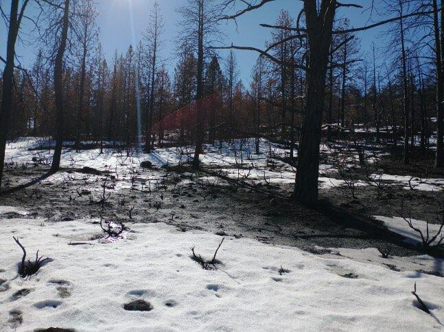 Klamath Falls Forest Estates Hwy 66 Unit Plat 4 - Land