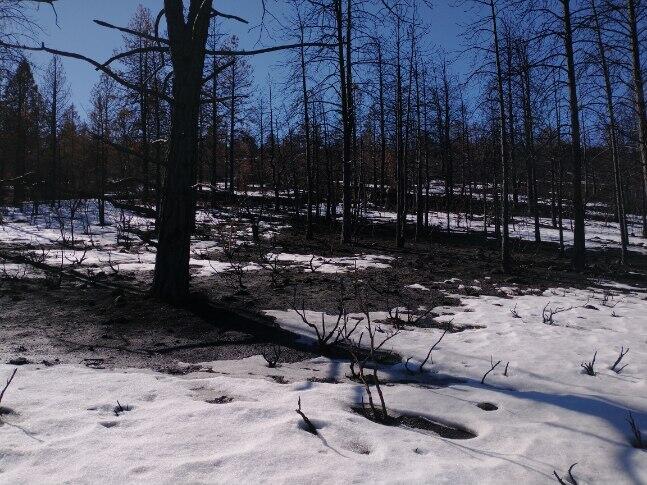 Klamath Falls Forest Estates Hwy 66 Unit Plat 4 - Land