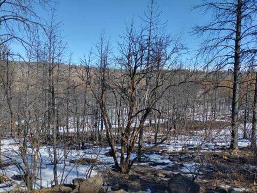 This is a nice lot with a great view, unfortunately a wildfire did burn through last year burning many of the standing trees, but it also cleared out thee underbrush and debris leaving the lot in a good condition. Power is about 3/4 miles away, the area is good for solar and off-grid living. The property backs up to forest service and provides beautiful sunsets and night skies. The owner will consider carrying papers with a large down and short terms. Property is on the left and is the next to last lot on Wren.