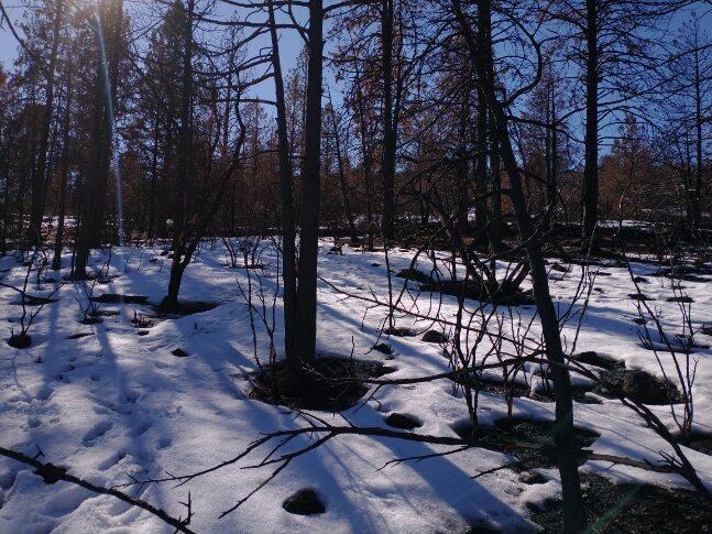 Klamath Falls Forest Estates Hwy 66 Unit Plat 4 - Land