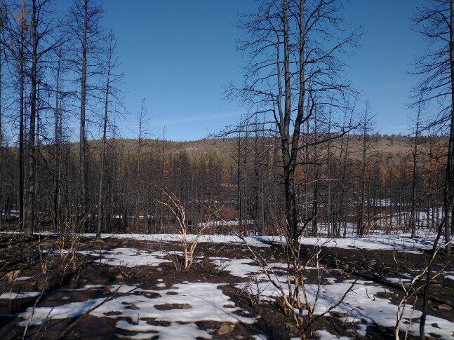 Klamath Falls Forest Estates Hwy 66 Unit Plat 4 - Land