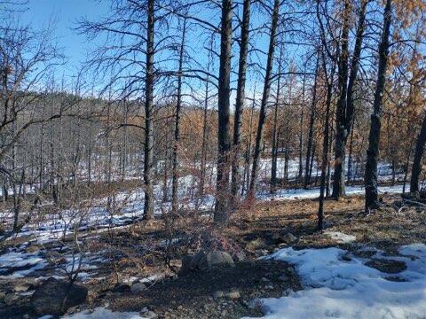 Klamath Falls Forest Estates Hwy 66 Unit Plat 4 - Land