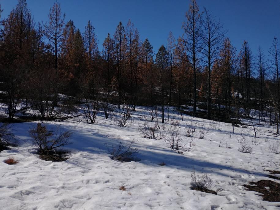 Klamath Falls Forest Estates Hwy 66 Unit Plat 4 - Land