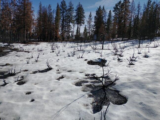 Klamath Falls Forest Estates Hwy 66 Unit Plat 4 - Land