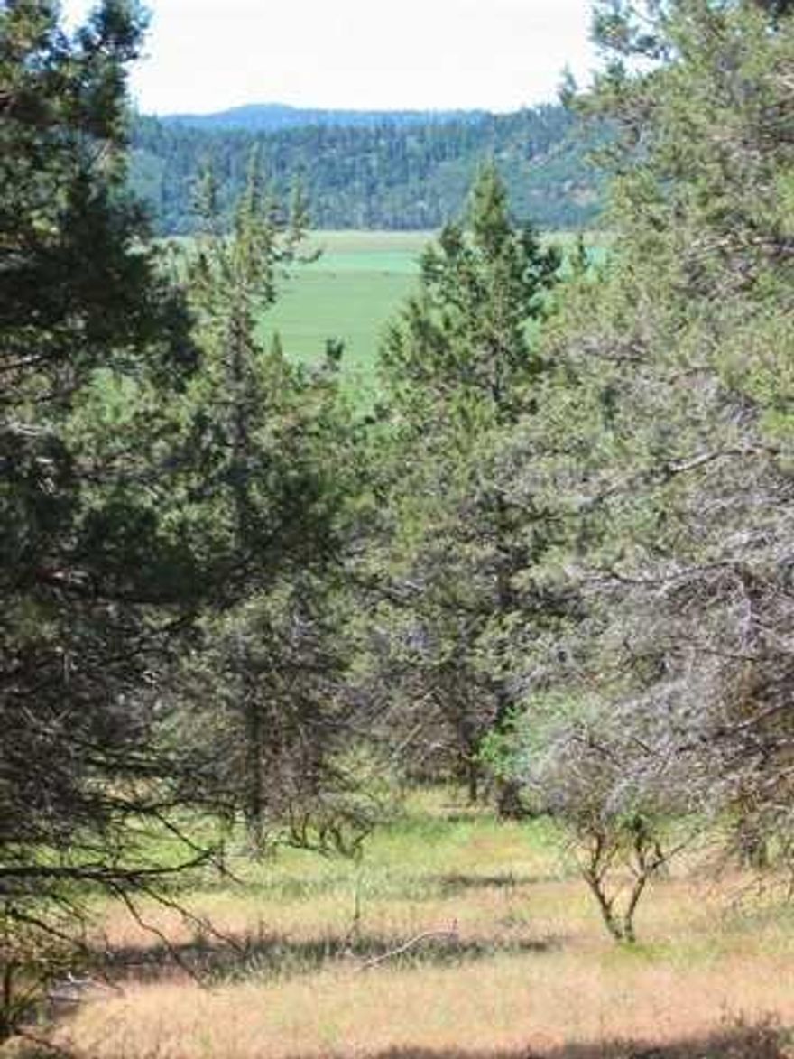 Nice Building Lot In The Running Y Resort. Ranch View Section. This Lot Is Offered As-is With No Representations, Repairs Or Warranties Whatsoever. Seller Is A Bankruptcy Trustee And Is Exempt From All Disclosures. Buyer Is Advised To Conduct Their Own Due Diligence. All Offers Subject To Court Approval. Trustee Assumes No Liability For Any Part Of This Listing, The Properties Or Any Eventual Sale Of This Property.