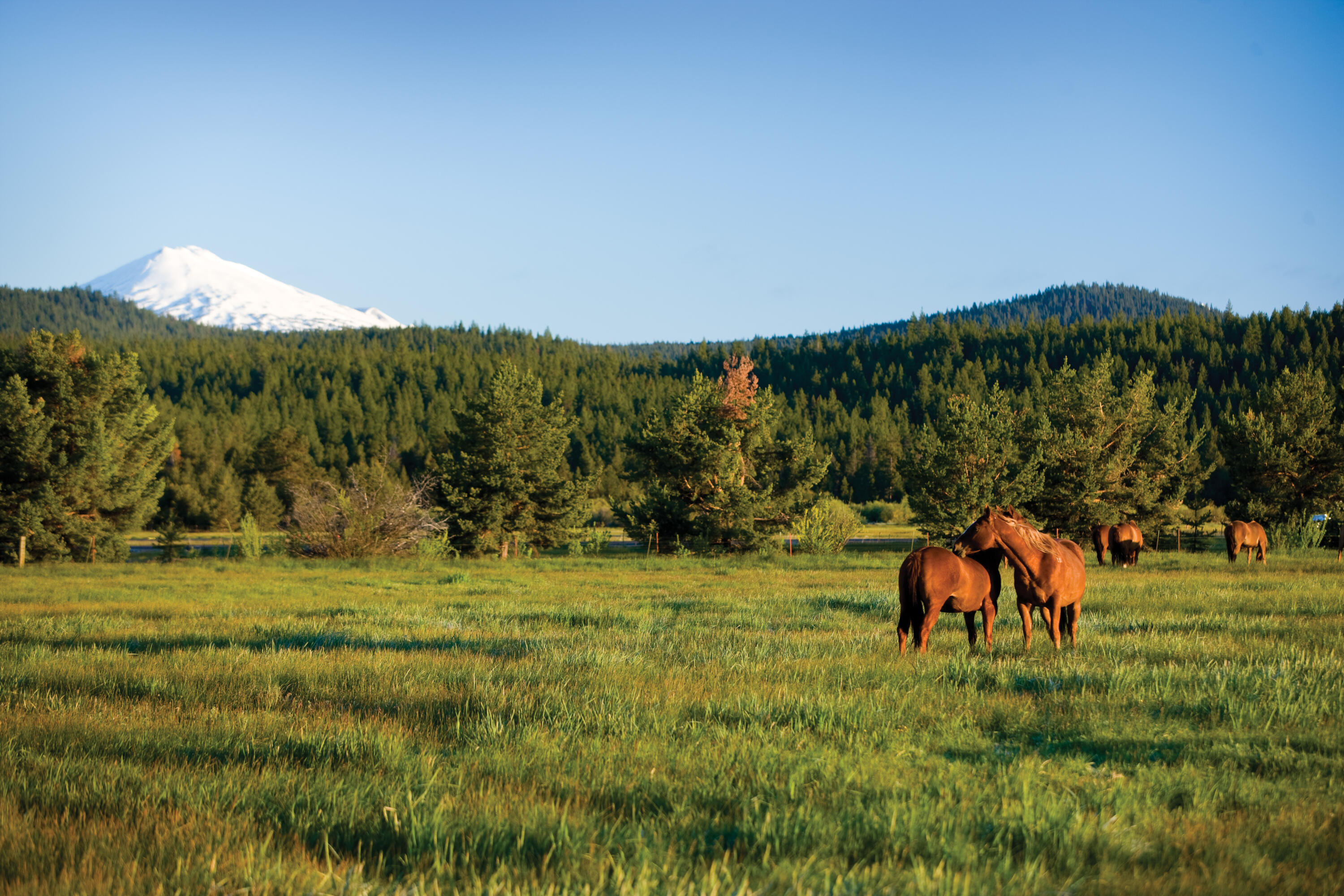 Fairway Crest Village - Residential