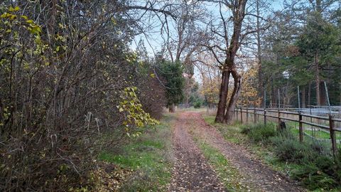 Tiny photo for 5201 Lake Shore Drive, Selma, OR 97538 (MLS # 220212398)