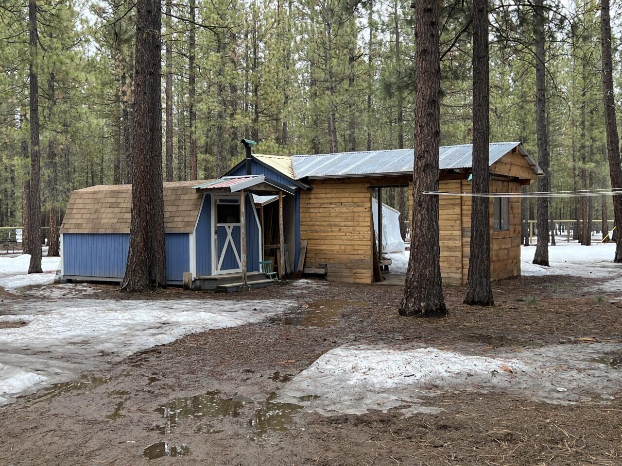 Ponderosa Pines - Residential