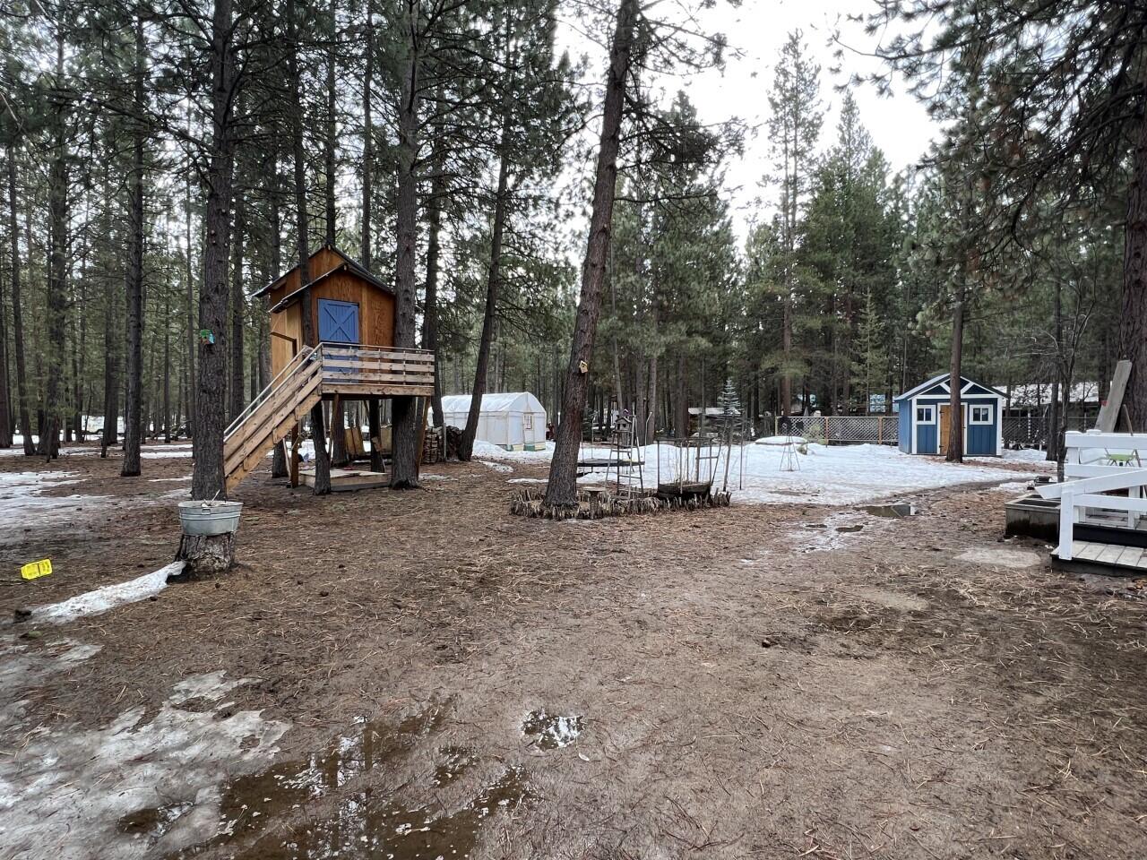 Ponderosa Pines - Residential