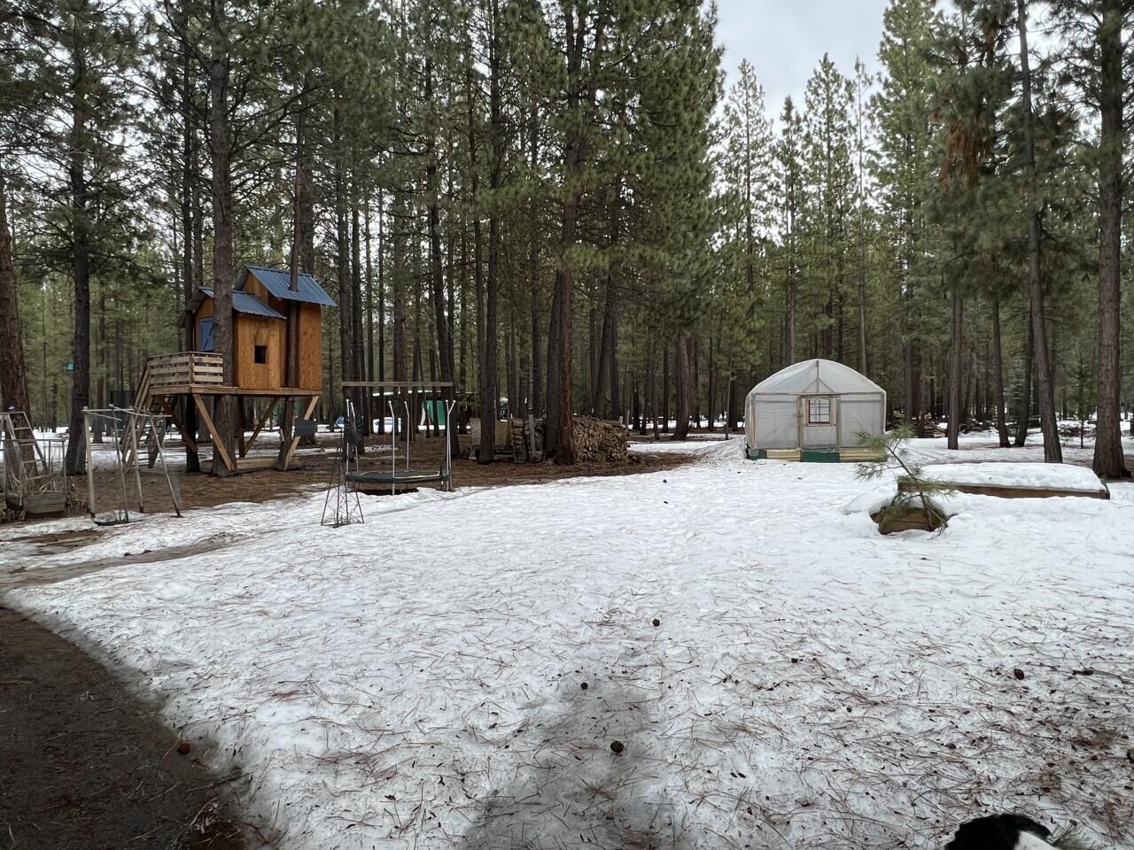 Ponderosa Pines - Residential