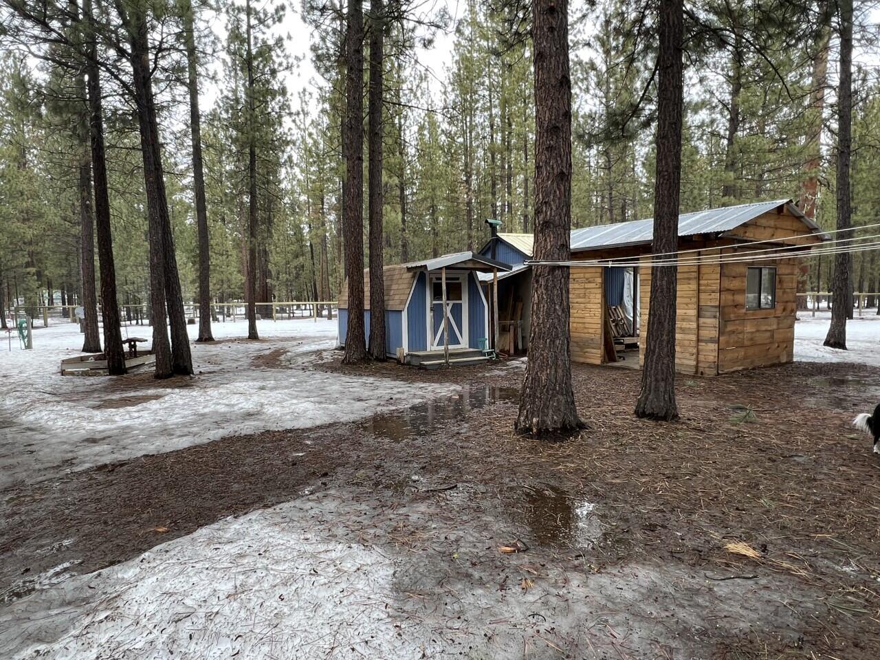 Ponderosa Pines - Residential