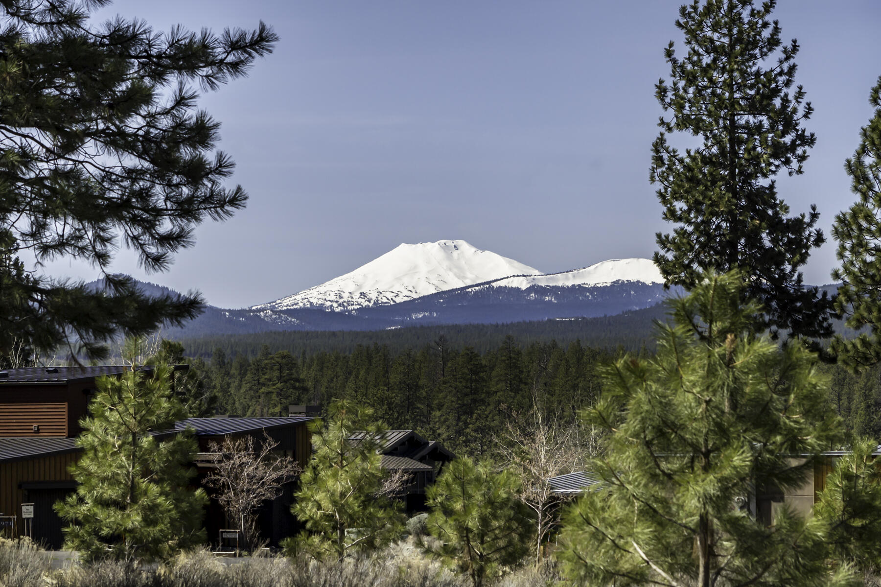 Shevlin Commons - Residential