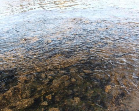 Tiny photo for 3355 Kircher Road, Chiloquin, OR 97624 (MLS # 220217420)