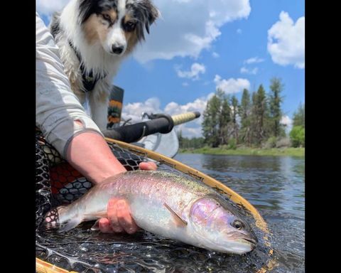 Tiny photo for 3355 Kircher Road, Chiloquin, OR 97624 (MLS # 220217420)