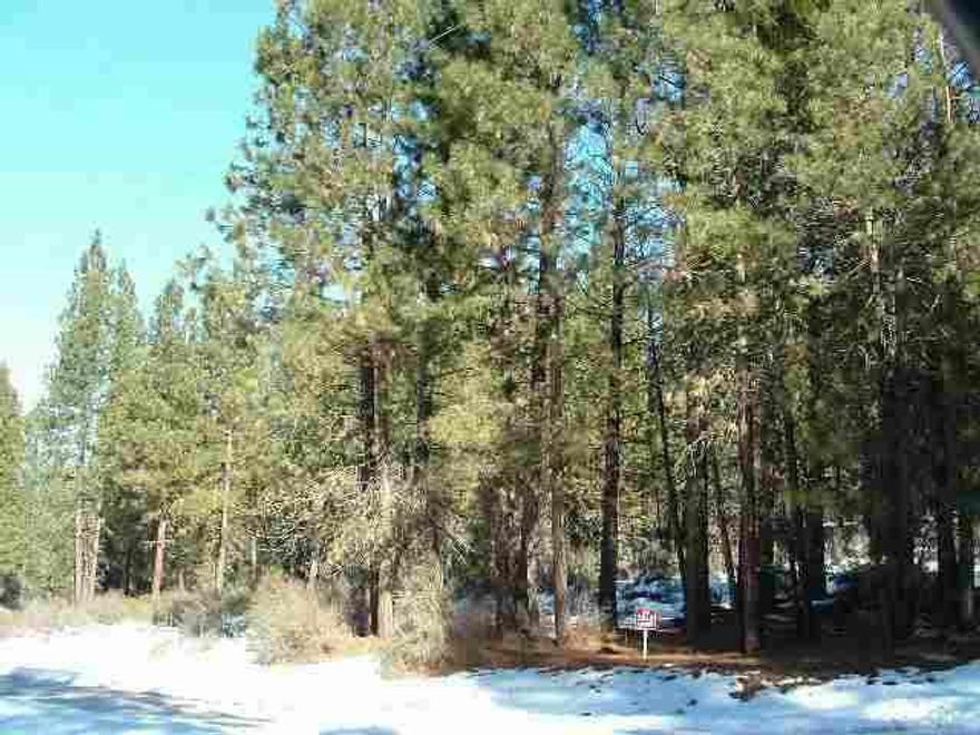 Small Acreage In The Pines. Close To Both Rivers In Chiloquin Area. Power & Phone Available. Septic Approved For Standard Systems. Will Sell One Lot For $18,000. Ccr's. Area Of Nice Homes.