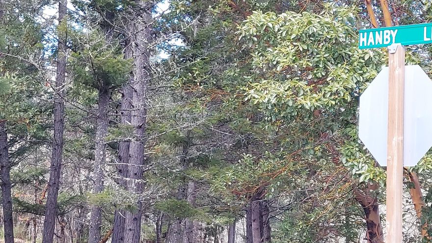 Prime development property at edge of Cave Junction near Golf Course with great territorial views.  City services available, and zoning allows a subdivision of city sized building lots (Verify with City of Cave Junction Planning). Newer homes right next door.  Two paved accesses; at end of Golf Club Drive or Hanby Lane, between Dollar General and Lil Pantry.  Owner may carry with lot releases as development continues.