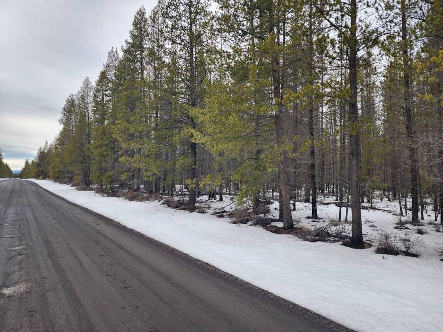 Awesome opportunity to own a great 4.4 acre subdividable corner lot in a nice area in La Pine Or. With well depths around 70-80 ft, power at the street, in an area of standard septic, this will be an affordable build. You can split this into 2 tax lots, build on one & sell the other, or just keep the whole lot for yourself. Don't miss out on this one, call for details.