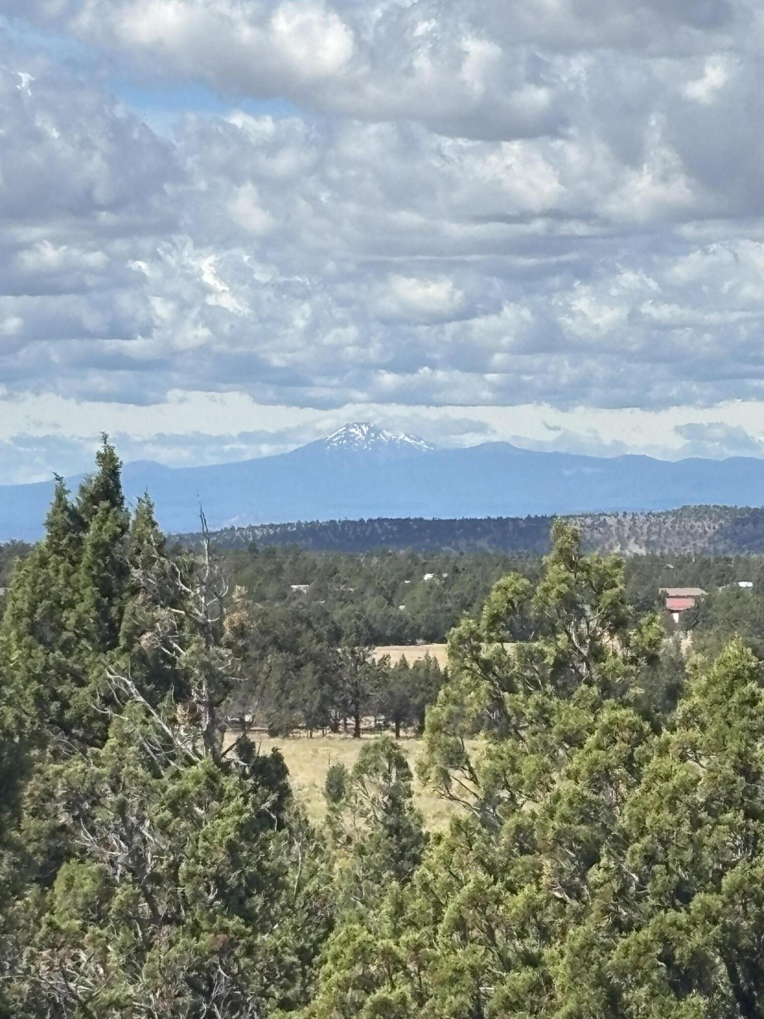 Mountain Ridge Est. - Land