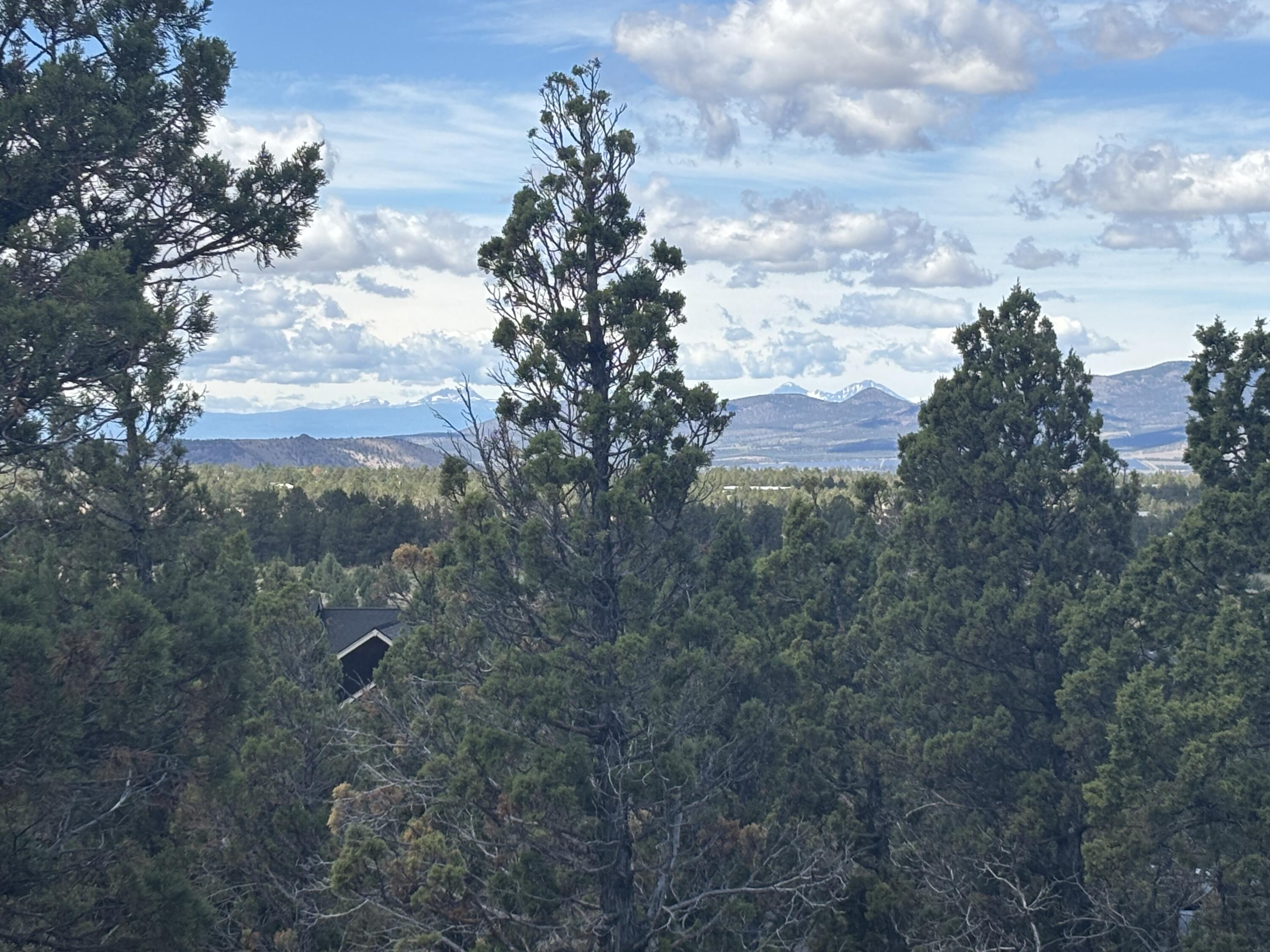 Mountain Ridge Est. - Land