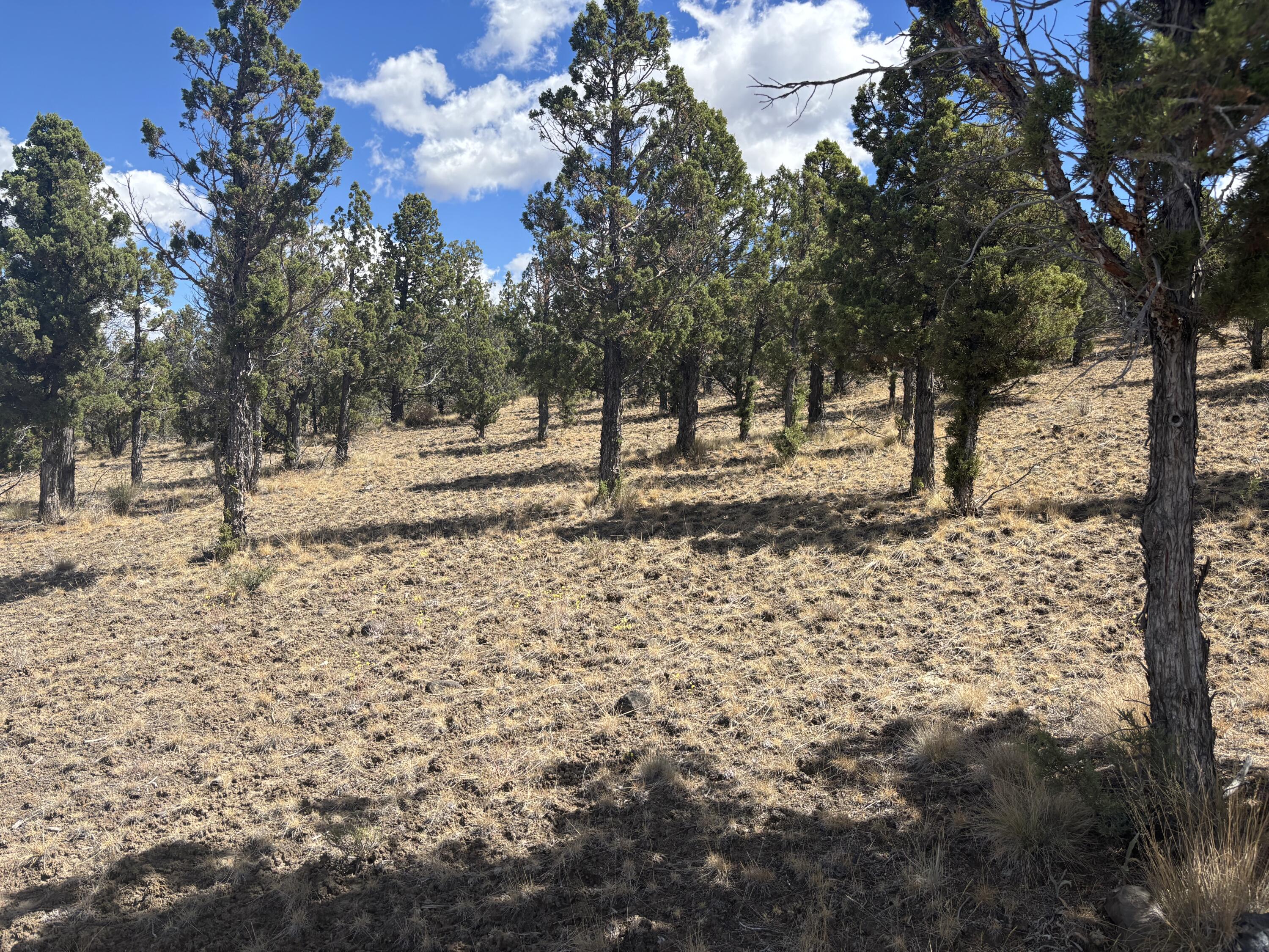 Mountain Ridge Est. - Land