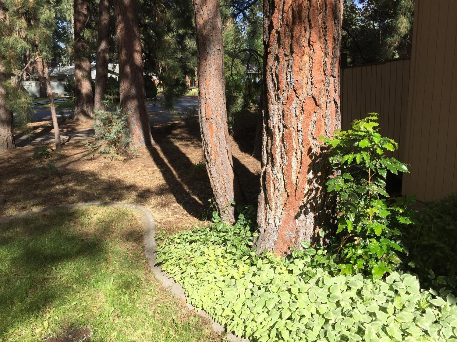 Homestead - Residential