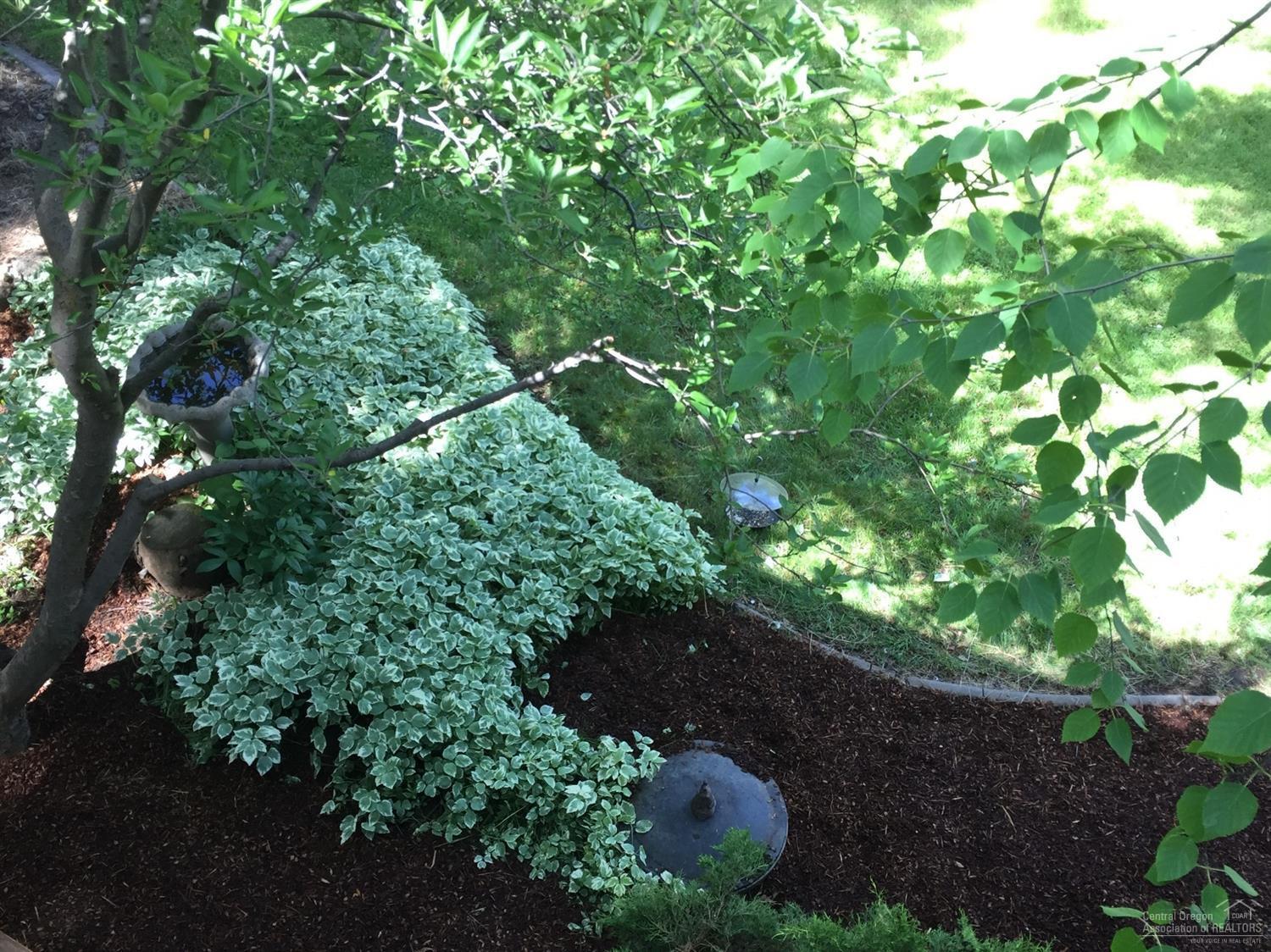 Homestead - Residential