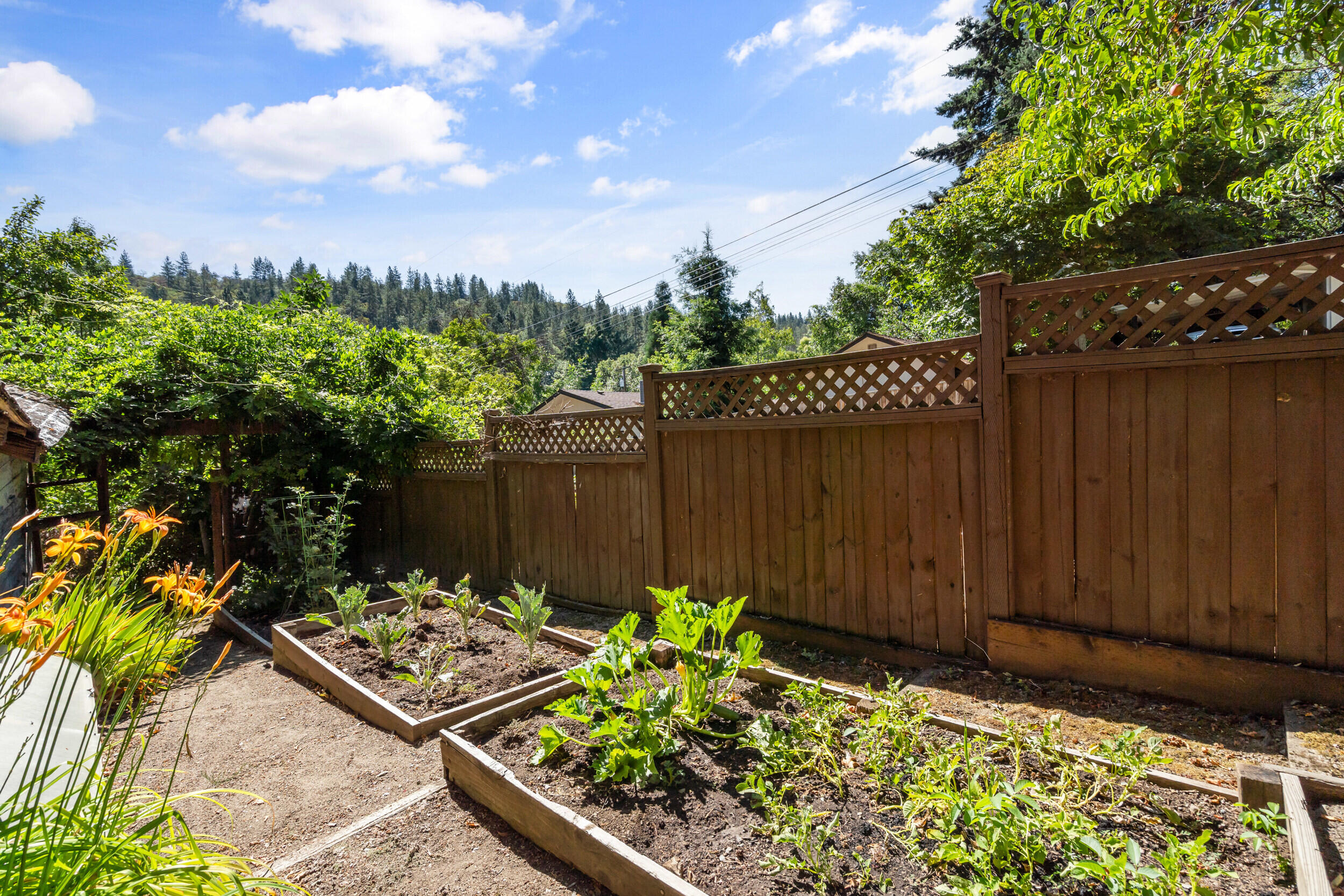 Lundgren's Subdivision Replat Of The Holman Addition To Jacksonville - Residential