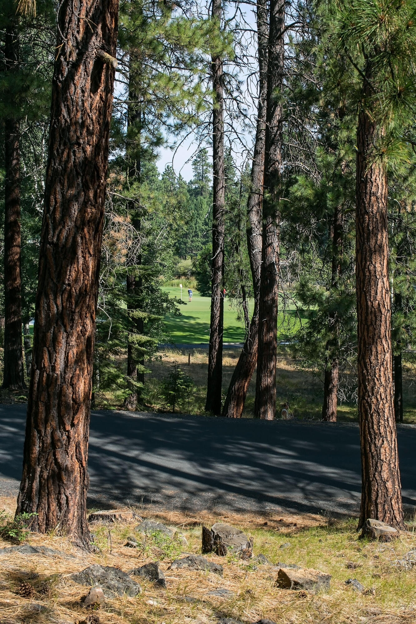 Glaze Meadow Homesite Section - Residential