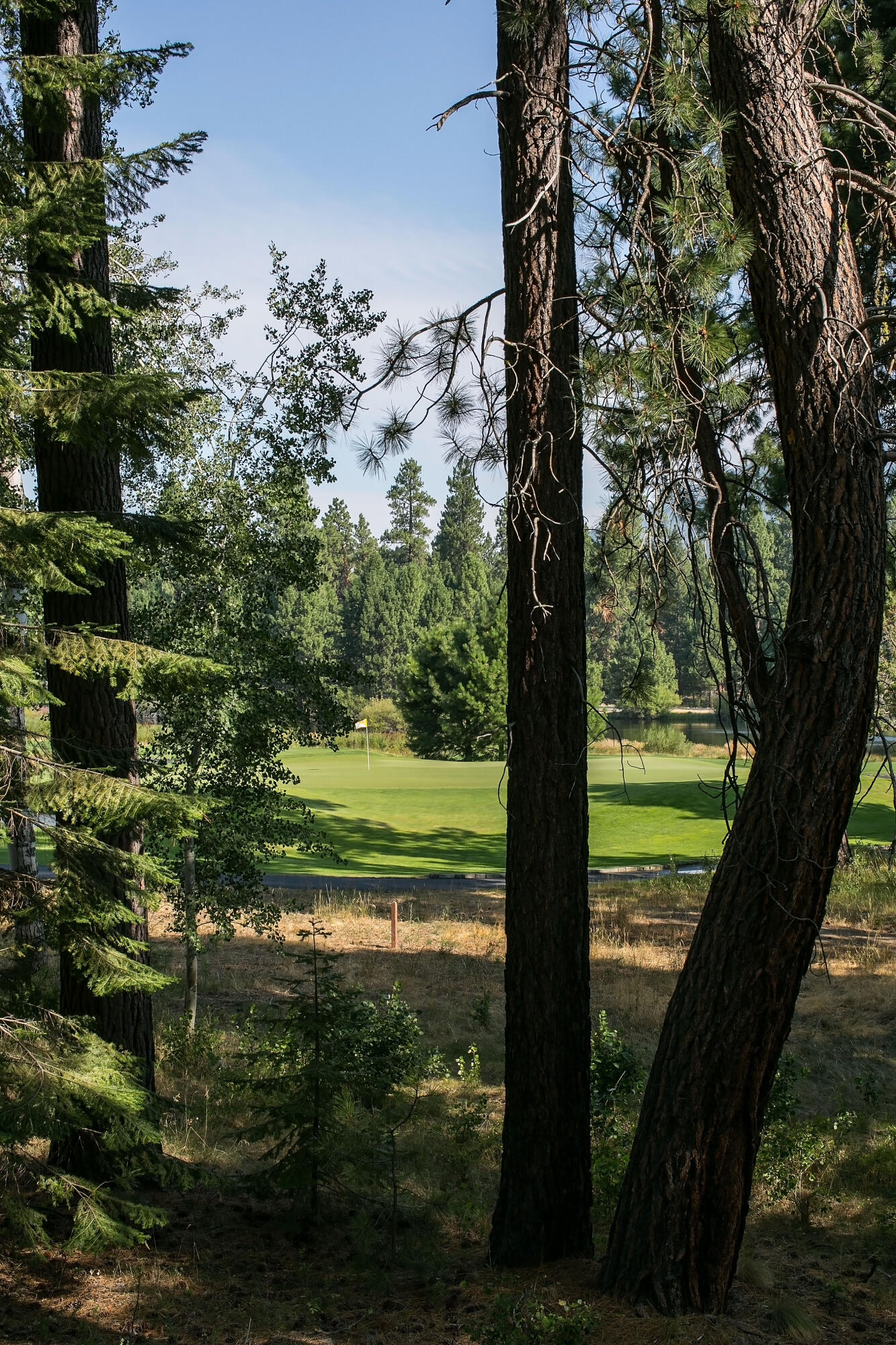 Glaze Meadow Homesite Section - Residential