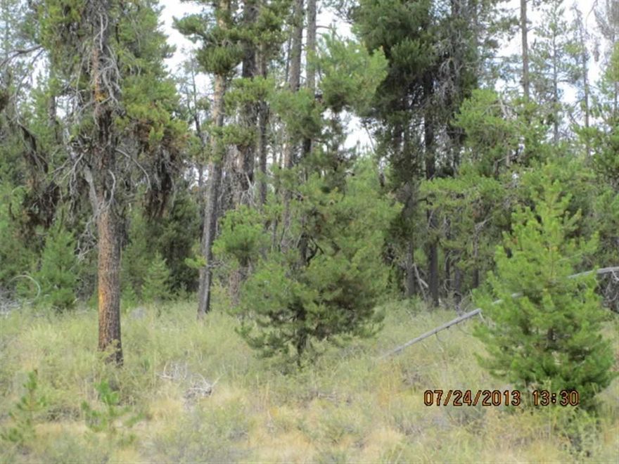 Beautiful Level Parcel In Mt. Scott Meadows, Located In Cul-de-sac For Privacy. Power Available, Good Wells In The Area, Approx. 100' Deep. Great Location Between Klamath Falls And Bend Or. Owner May Finance With 30% Down And Approved Credit.Area Photo