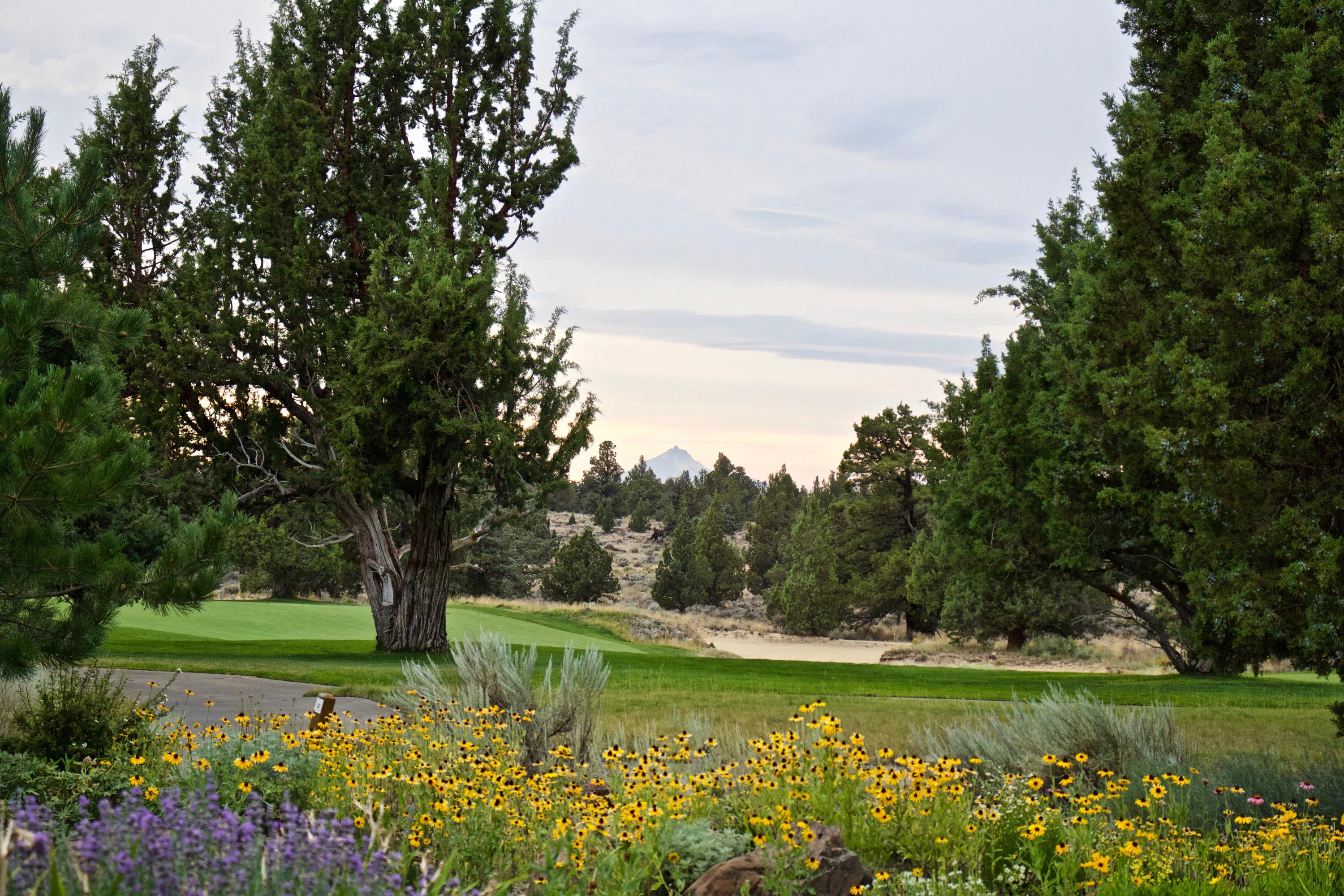 Pronghorn - Residential