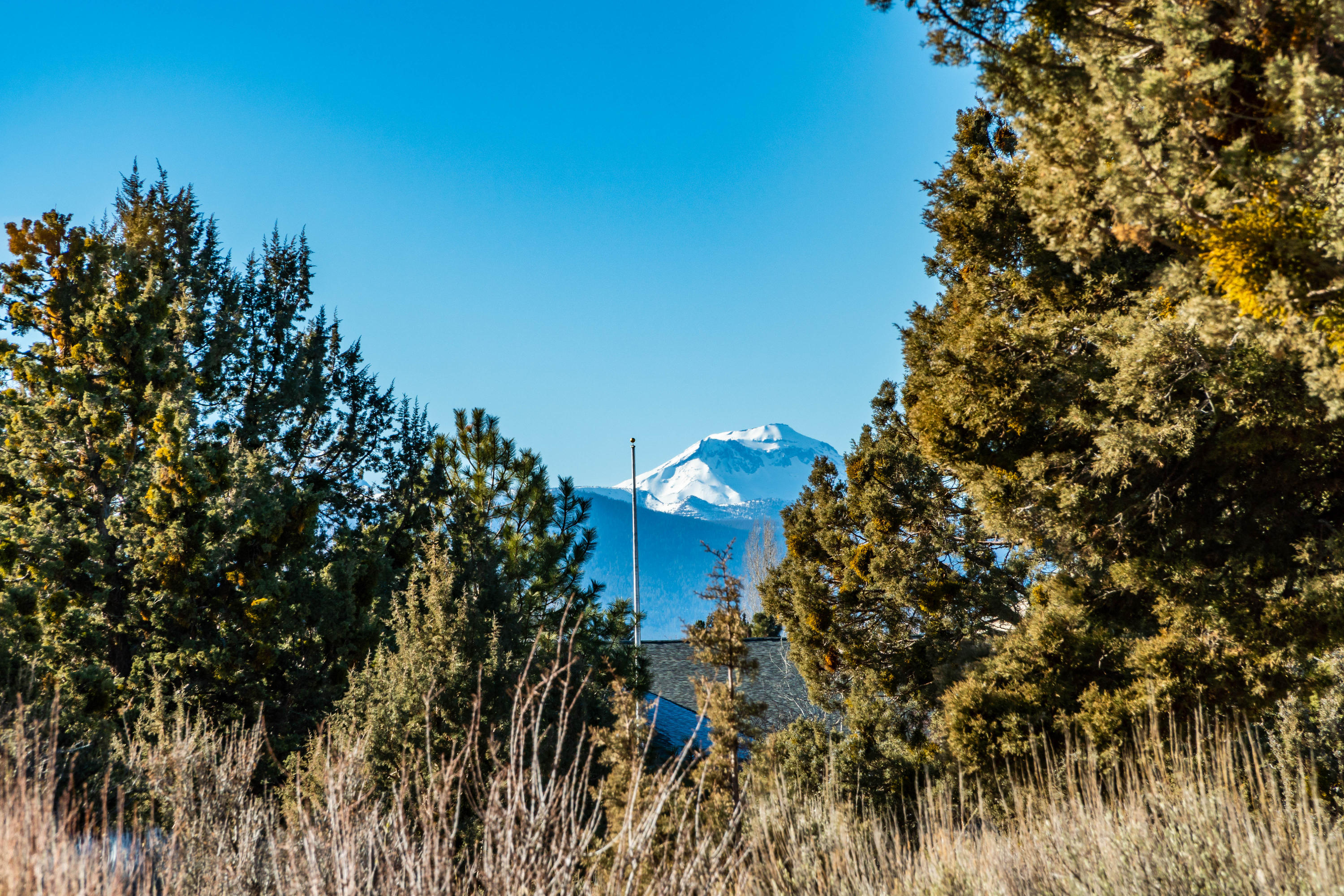 Royal Oak Estates - Residential