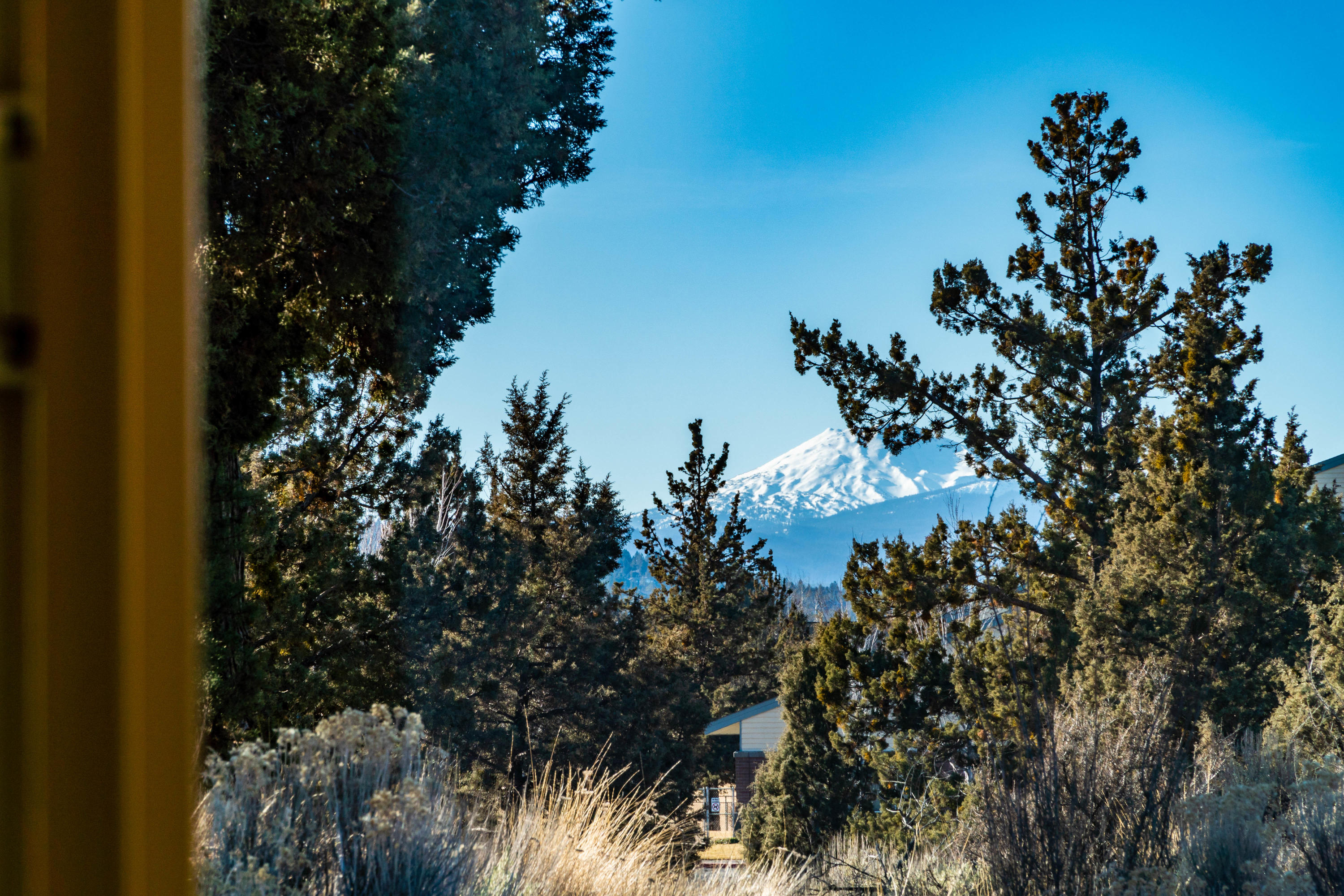 Royal Oak Estates - Residential