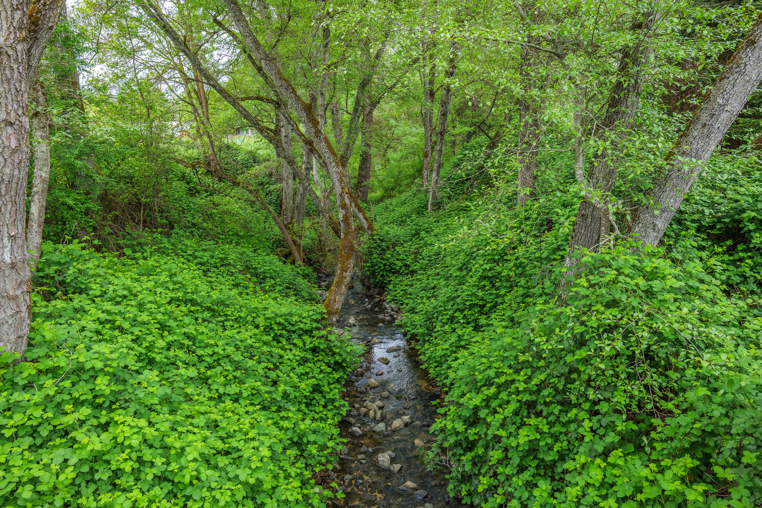 Chicago Land Co. Subdivision - Residential