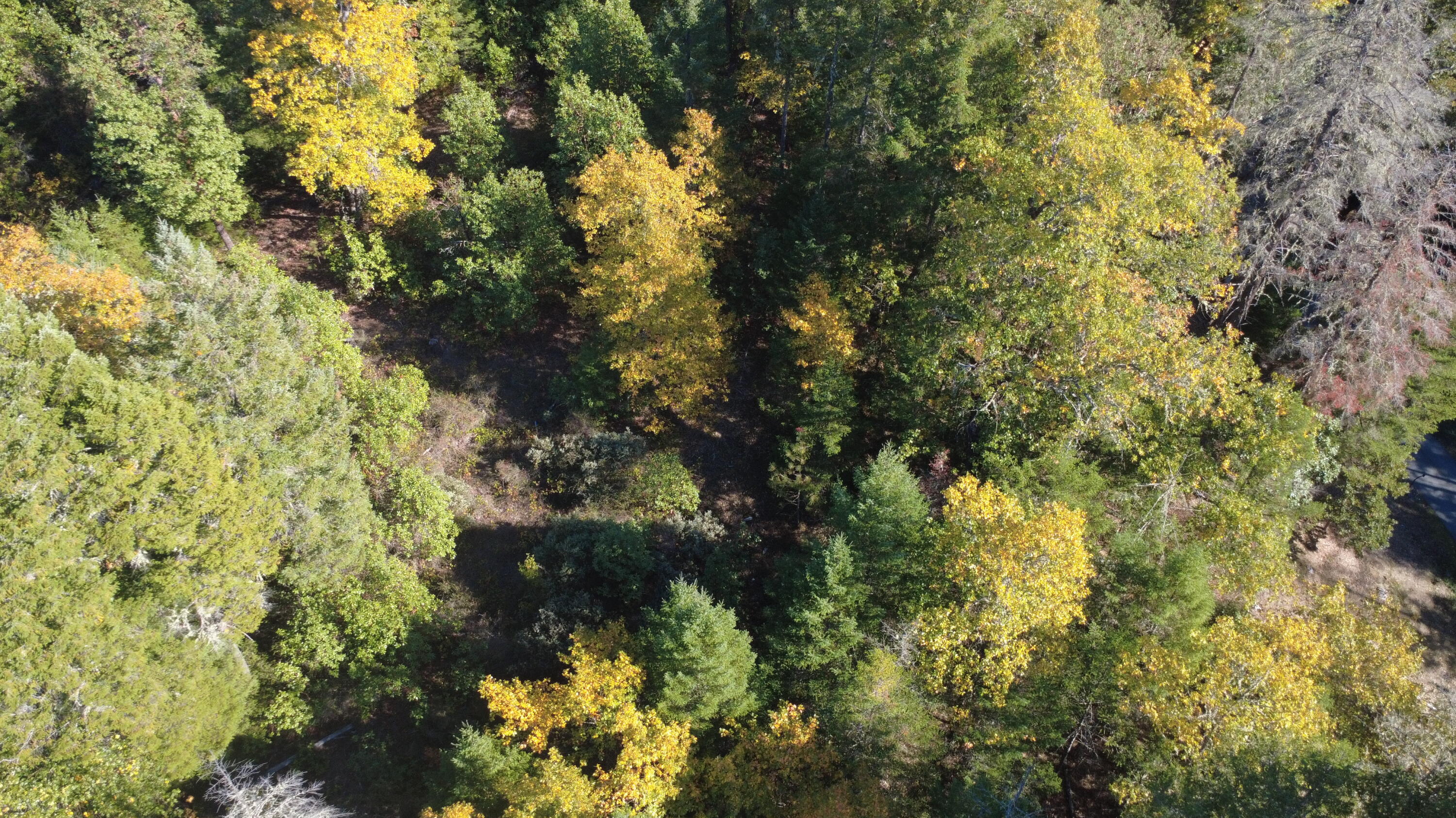 Ferry Park Estates - Land