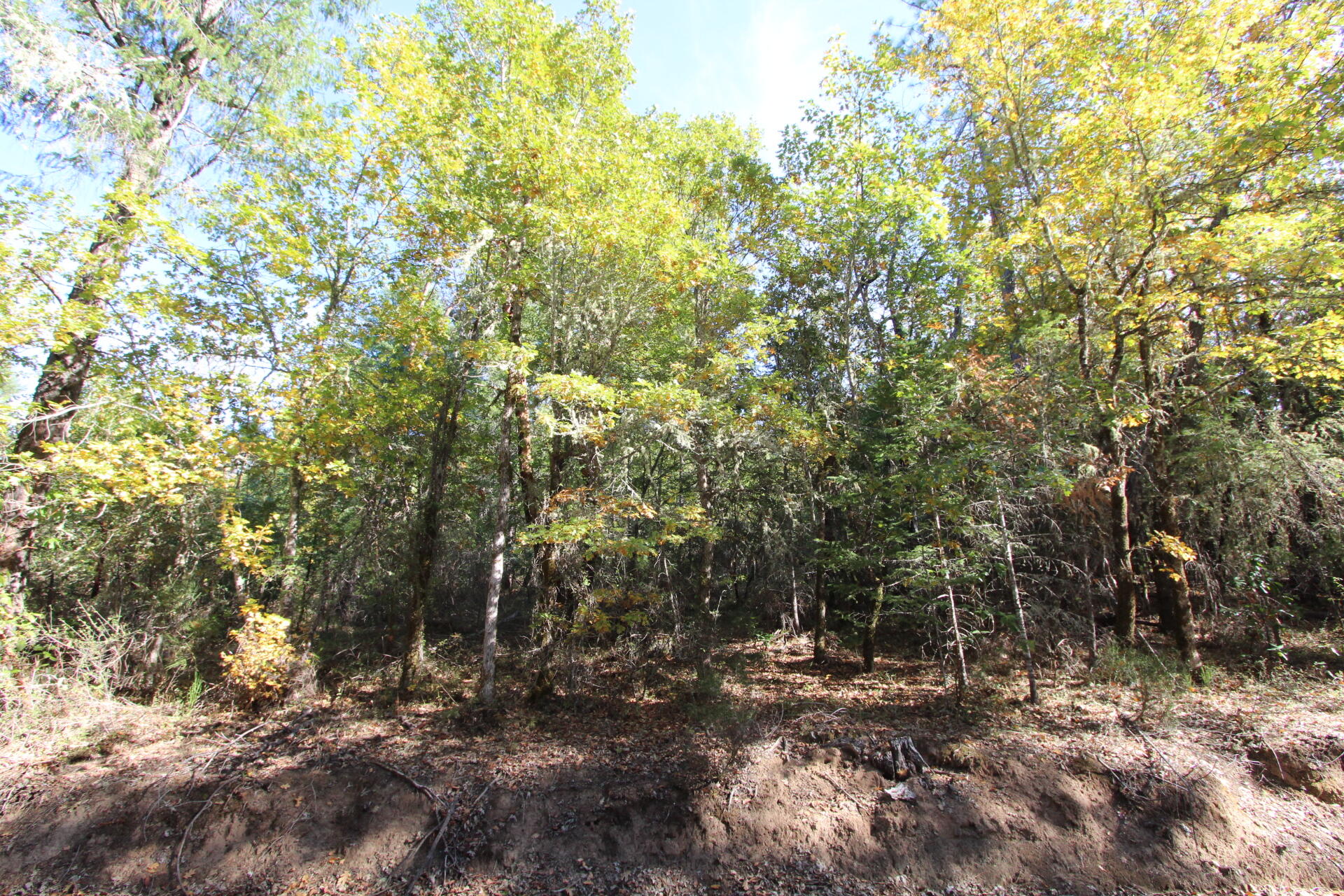 Ferry Park Estates - Land