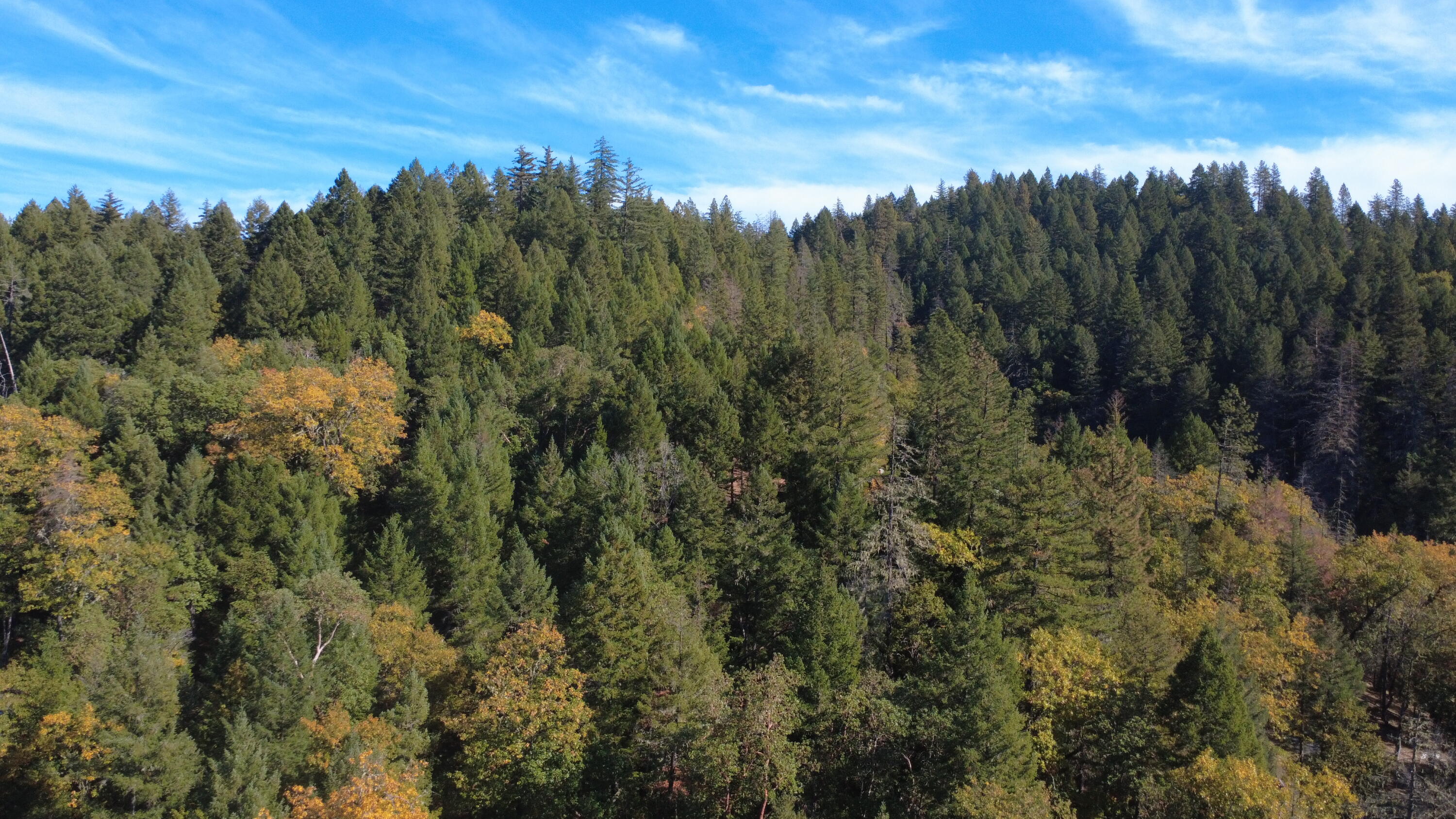 Ferry Park Estates - Land