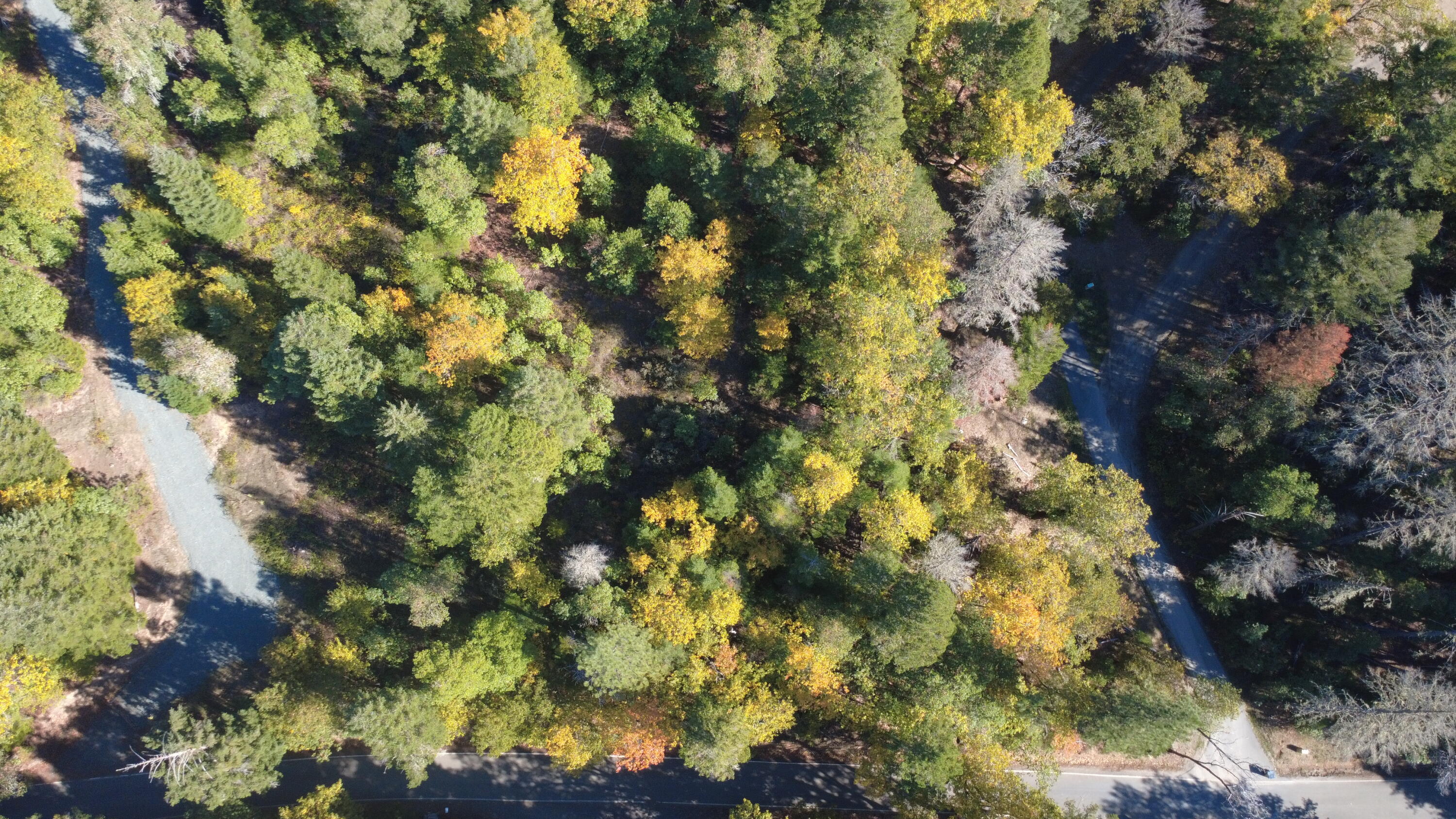 Ferry Park Estates - Land