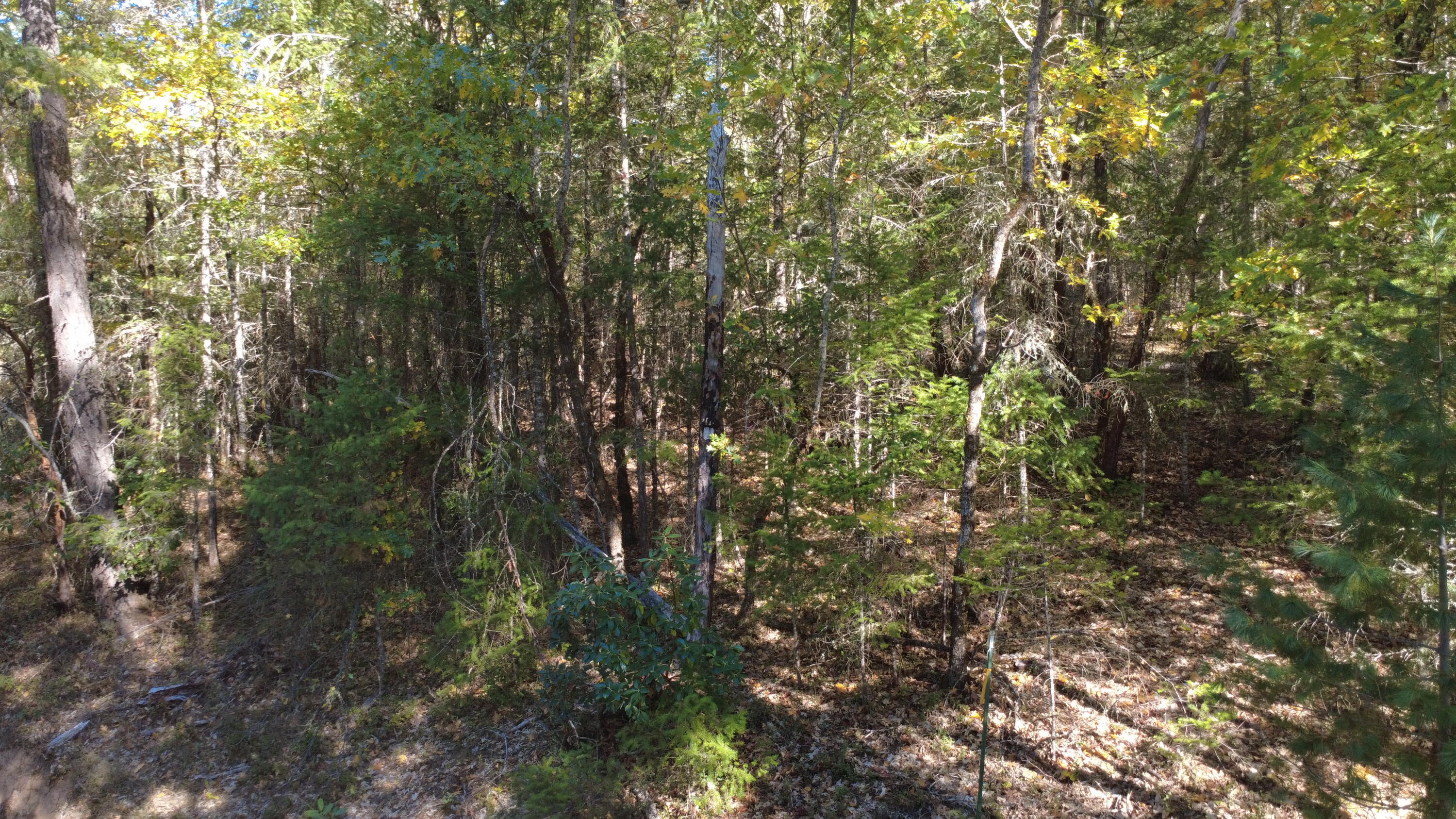 Ferry Park Estates - Land