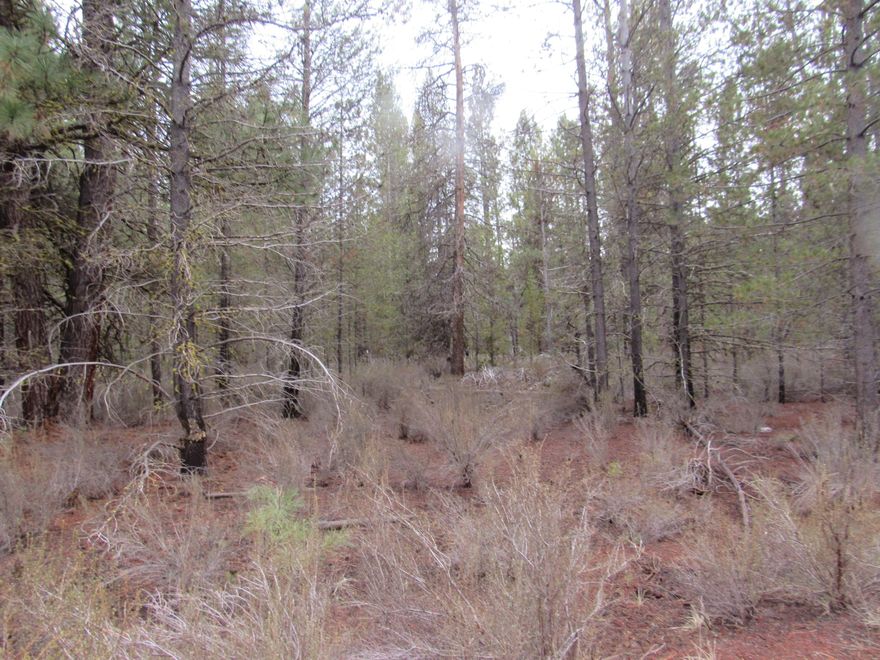 1.07 acres with the forested feel-pine trees-level lot and only about 7 miles from the small town on Chiloquin with groceriy stores, post office and Community Center, library and emergency ambulance & fire.  Sprague River Pines has no homeowner Assoc, no fees, and community access to the Sprague River for fishing, swimming, kayakking and crawdad hunting.  The Sprague River borders parts of the subdivision so access for owners.  Power at each road and lot, will need well and septic. You can place a cabin, manufactured home or your dream home here.  With the residential zoning you can purchase now and build later.  So,,,if you are one that wants the country side, rural living experience vs the big city, this could sure be something that could work for you.