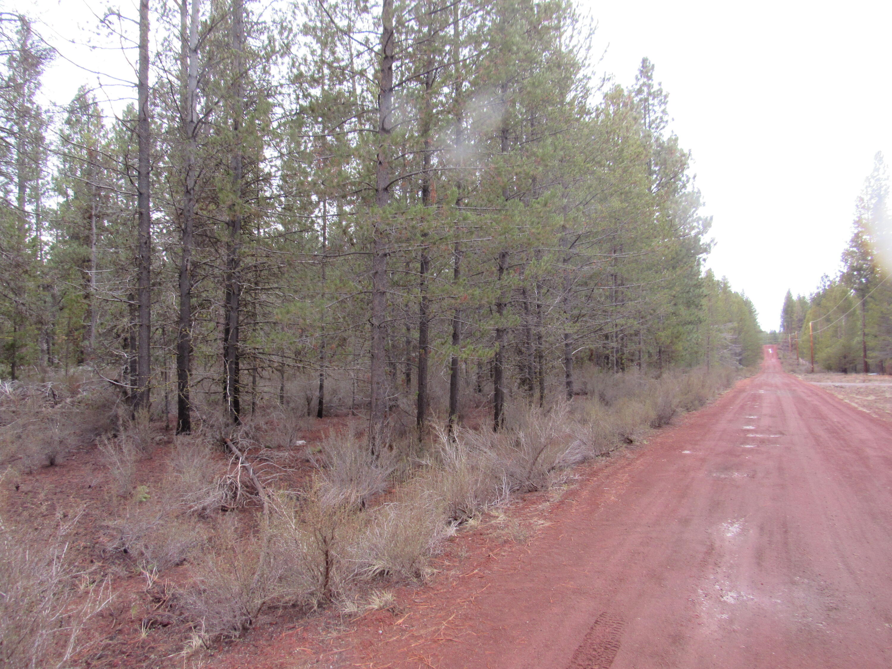 Sprague River Pines - Land