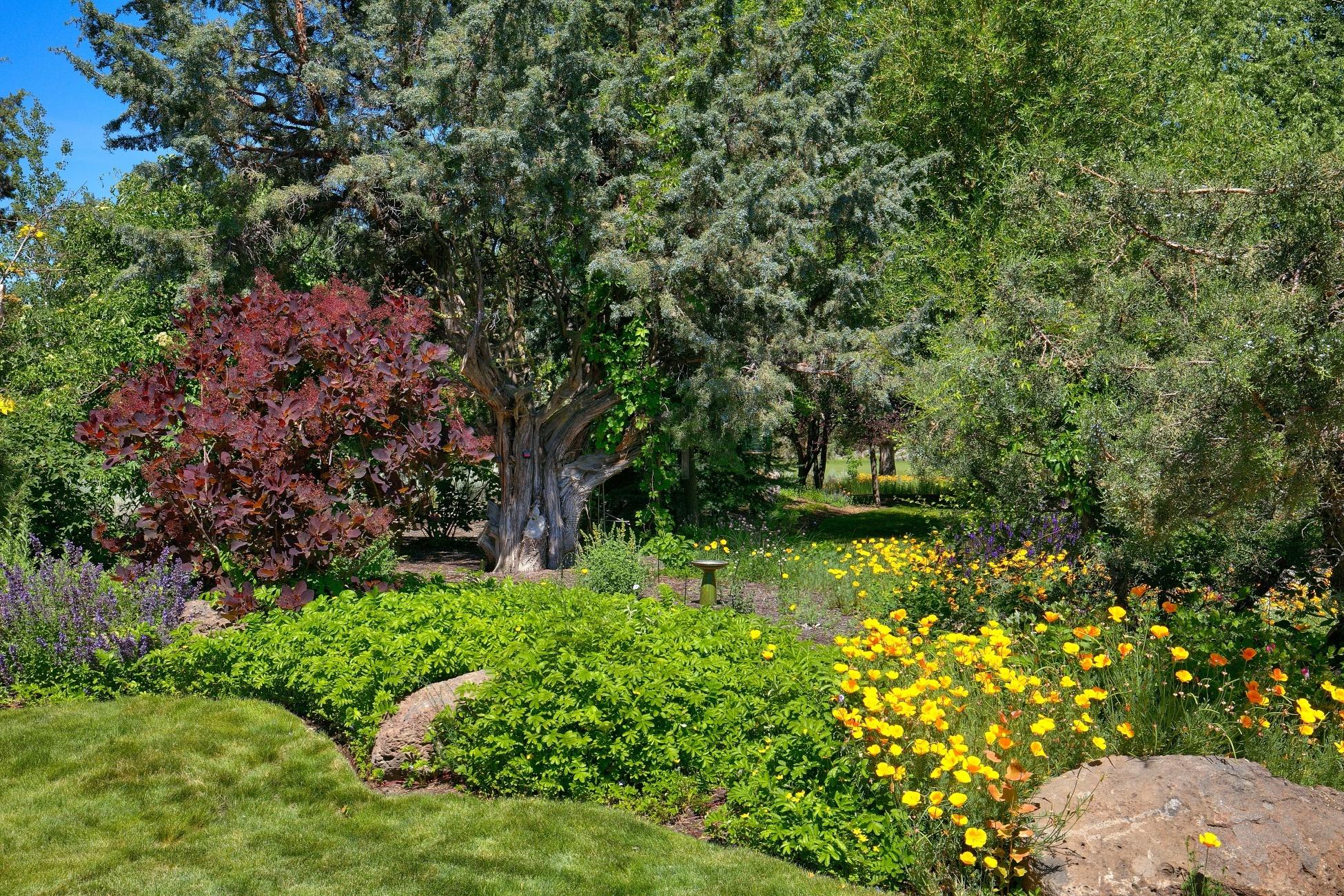 Pronghorn - Residential